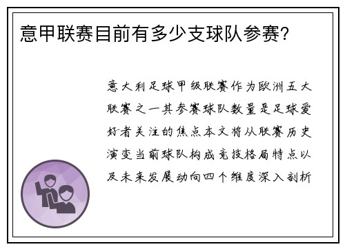 意甲联赛目前有多少支球队参赛？