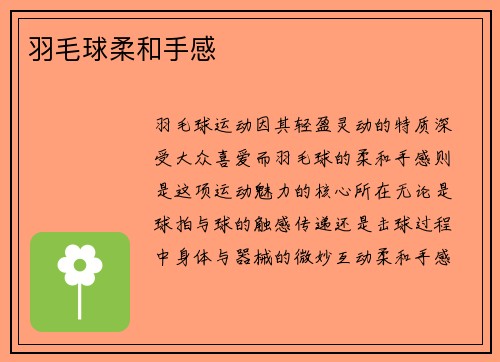 羽毛球柔和手感