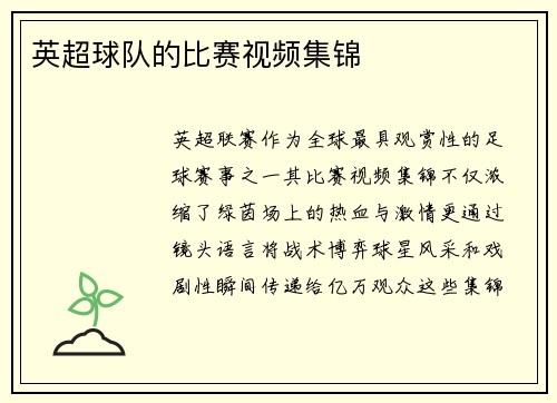 英超球队的比赛视频集锦